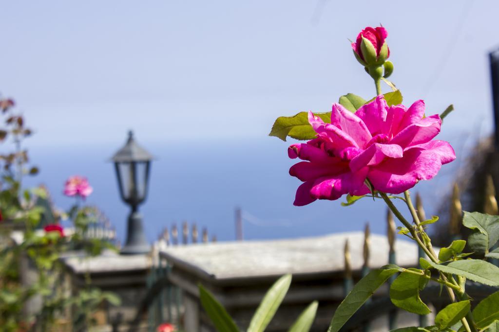 Guesthouse Papagiannopoulou Zagora Zewnętrze zdjęcie