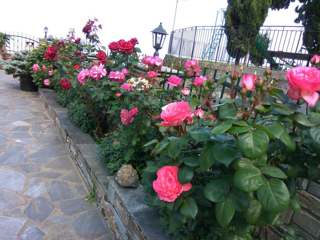 Guesthouse Papagiannopoulou Zagora Zewnętrze zdjęcie